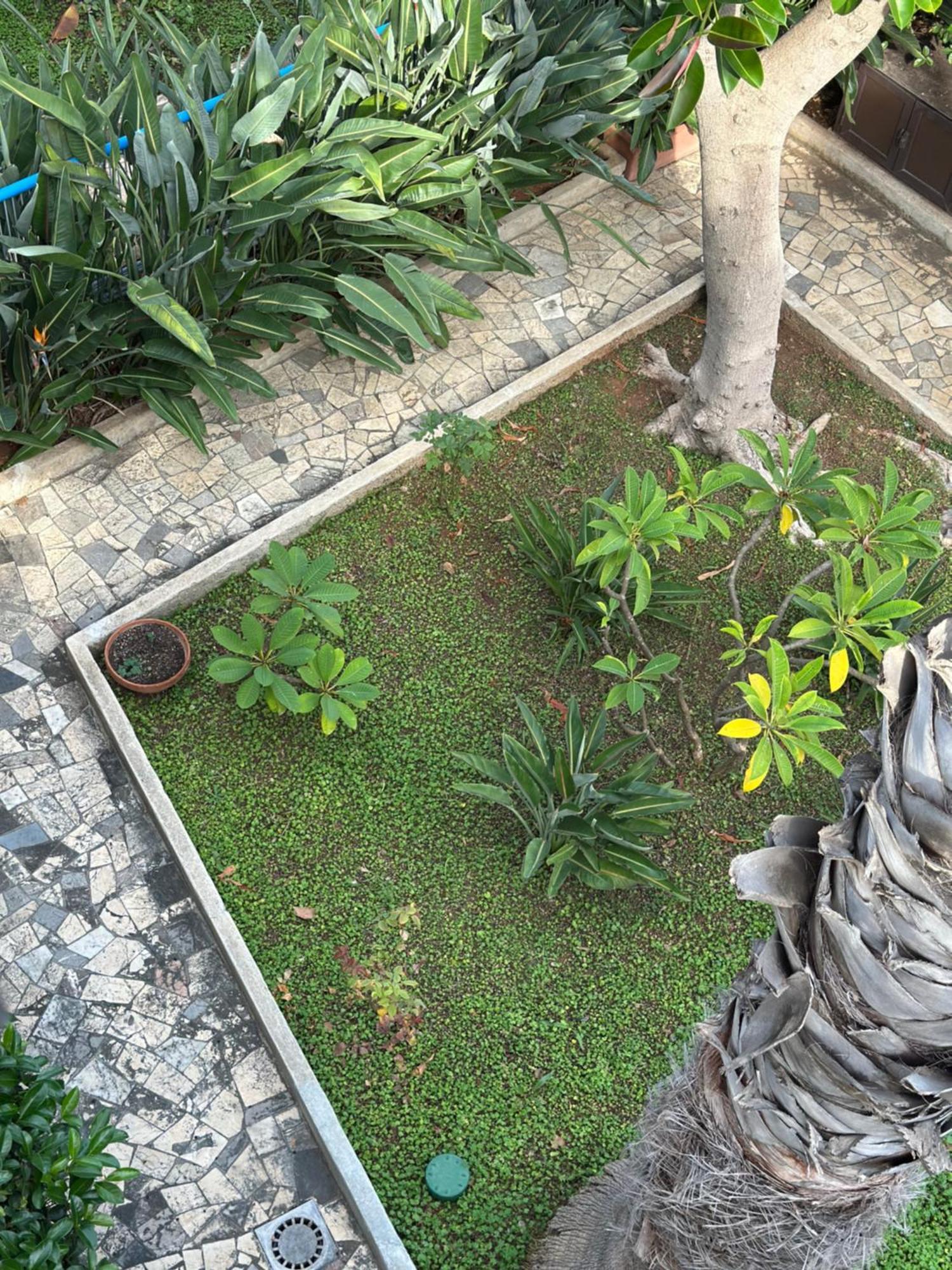 Villa Savoia 蒙德罗 外观 照片